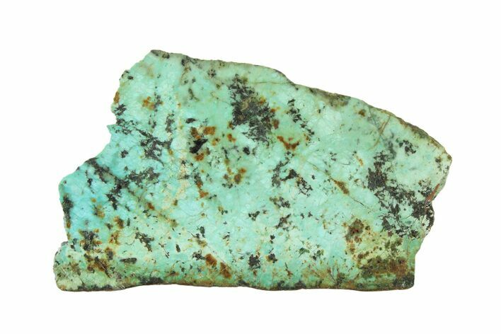 Bright Blue Apatite (Fluorapatite) Slab - Madagascar #338140